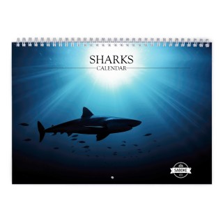 Shark 2024 Wall Calendar