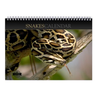 Snake 2024 Wall Calendar