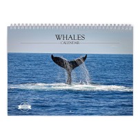 Whale 2024 Wall Calendar