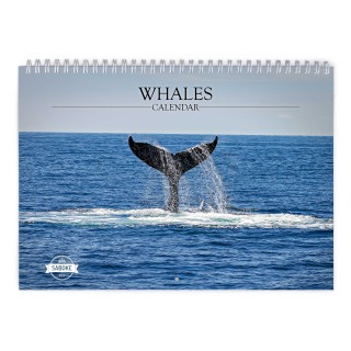 Whale 2024 Wall Calendar