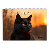 Black Cat 2024 Wall Calendar