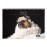 Pugs Life (Vol. I)