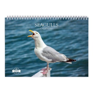 Seagull 2024 Wall Calendar
