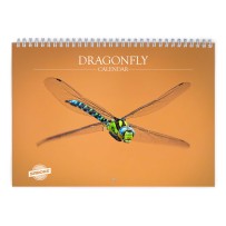 Dragonfly 2026 Wall Calendar