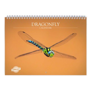 Dragonfly 2026 Wall Calendar