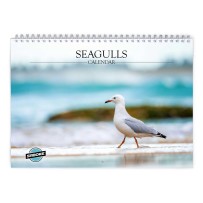 Möwe 2026 Wandkalender