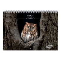 Owl 2026 Wall Calendar