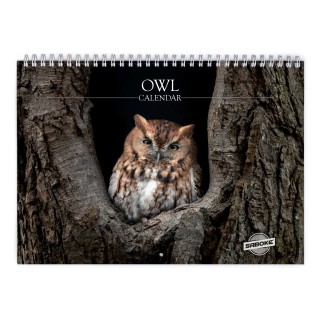 Owl 2026 Wall Calendar