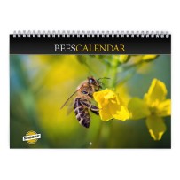 Biene 2026 Wandkalender