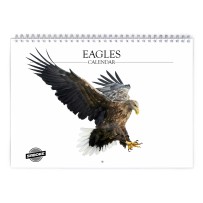 Adler 2026 Wandkalender