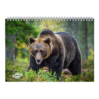 Bear 2026 Wall Calendar