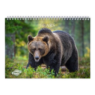 Bear 2026 Wall Calendar