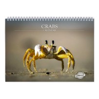 Crabs 2026 Wall Calendar