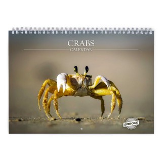 Crabs 2026 Wall Calendar
