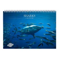 Hai 2026 Wandkalender