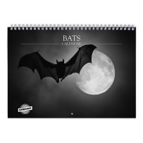 Fledermäuse 2026 Wandkalender