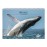 Whales of Wonder (Tome III)