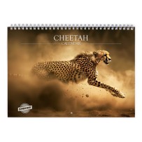 Gepard 2026 Väggkalender