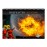 Burn Brigade (Vol. IV)