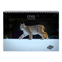Lynx 2026 Wall Calendar