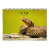 Snake 2026 Wall Calendar