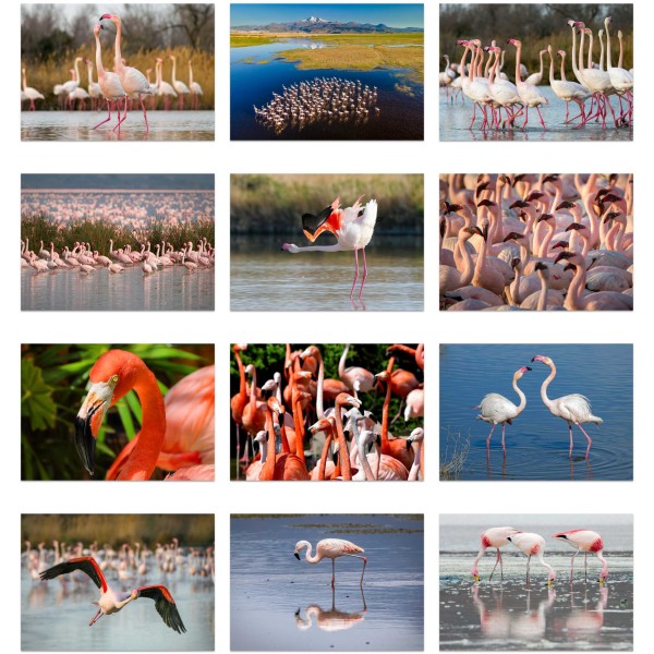 Stilt Stories (Vol. III)