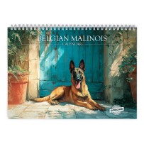 Belgian Malinois 2026 Wall Calendar
