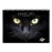 Pitch Prowlers (Vol. III)