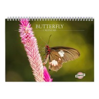 Butterfly 2026 Wall Calendar
