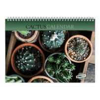 Cactus 2026 Wall Calendar