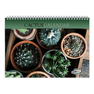 Cactus 2026 Wall Calendar