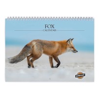 Fuchs 2026 Wandkalender
