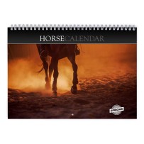 Horse 2026 Wall Calendar