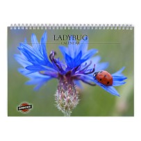 Ladybug 2026 Wall Calendar