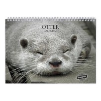 Otter 2026 Wall Calendar