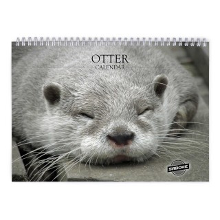 Otter 2026 Wall Calendar