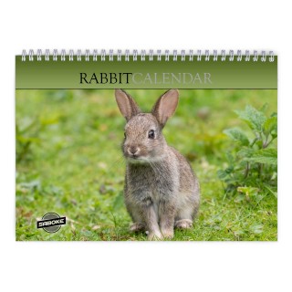 Rabbit 2026 Wall Calendar