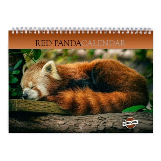 Red Panda 2026 Wall Calendar