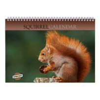 Squirrel 2026 Wall Calendar