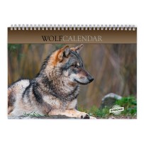 Wolf 2026 Wandkalender