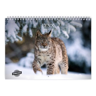 Lynx 2027 Wall Calendar
