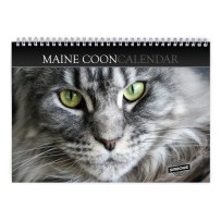 Maine Coon 2027 Seinäkalenteri