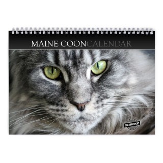 Maine Coon 2027 Wall Calendar