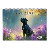 Cane Corso 2027 Wandkalender