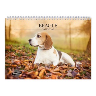 Beagle 2027 Wall Calendar