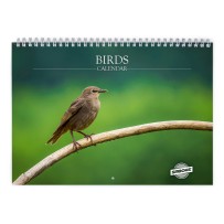 Fugle 2027 Vægkalender