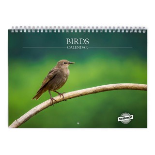 Birds 2027 Wall Calendar