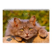 猫 2027 年壁掛けカレンダー