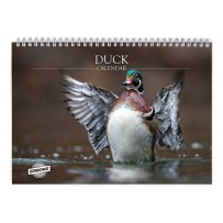 And 2027 Vægkalender