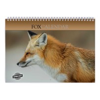 Fox 2027 Wall Calendar